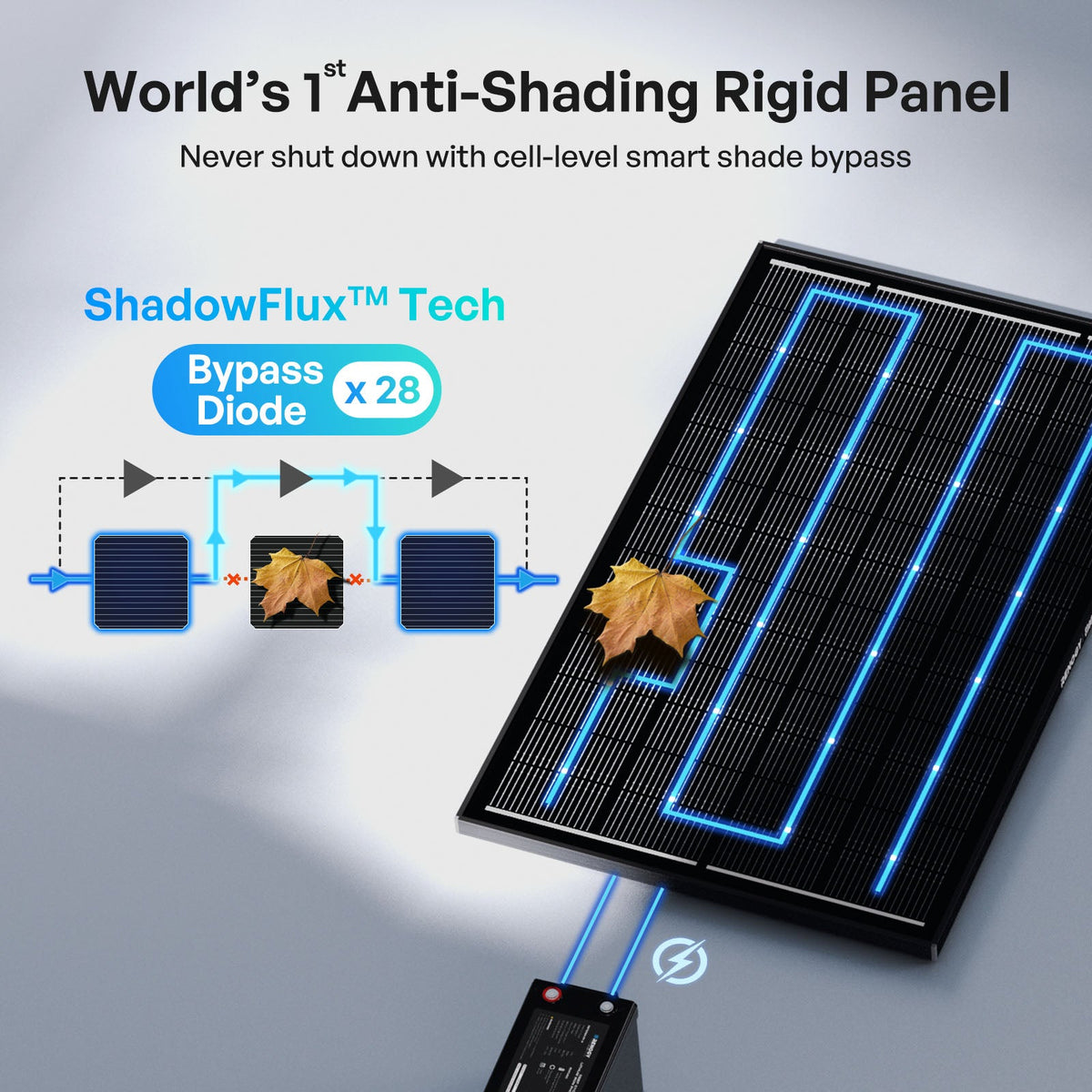 Renogy 200W N-Type High Efficiency Solar Panel