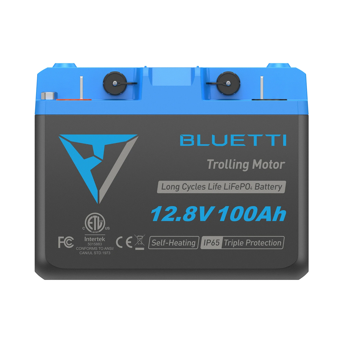 BLUETTI B1210 LiFePO₄ Battery - 12.8 V, 100 Ah