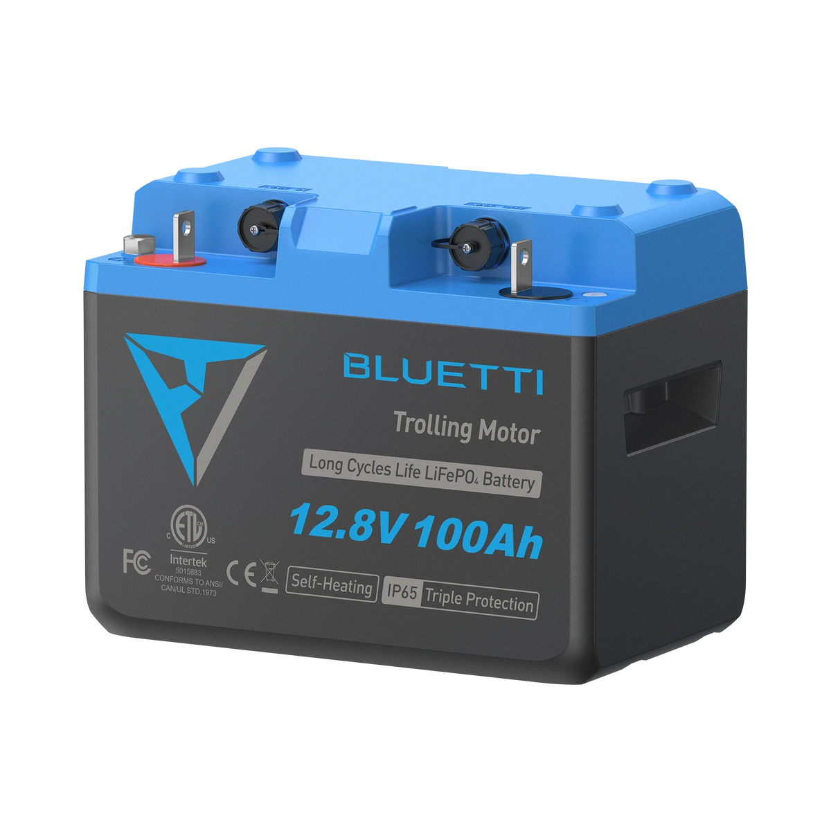 BLUETTI B1210 LiFePO₄ Battery - 12.8 V, 100 Ah